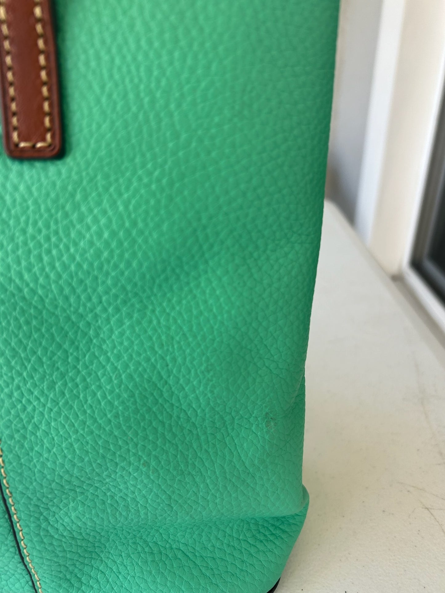 Dooney and Bourke bag green