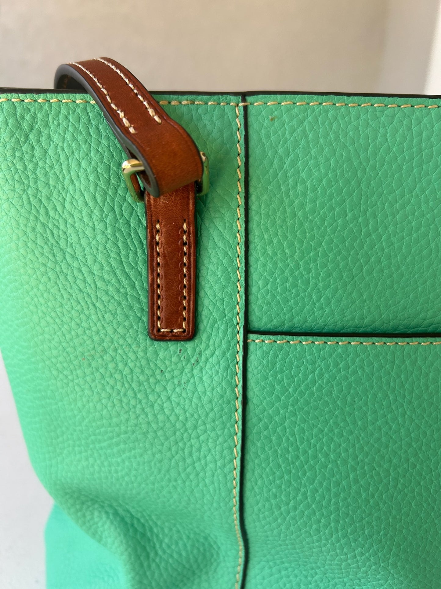 Dooney and Bourke bag green