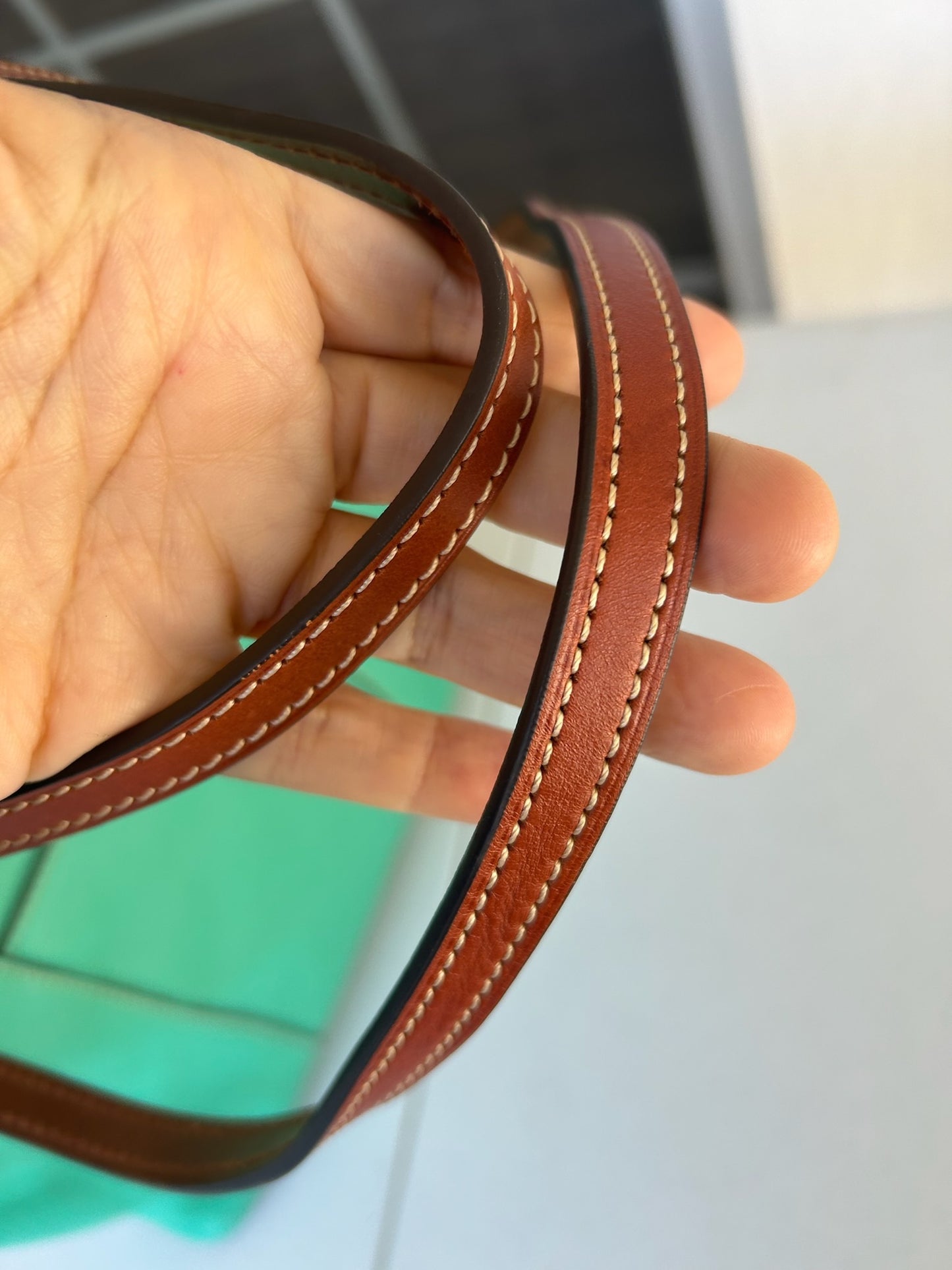 Dooney and Bourke bag green